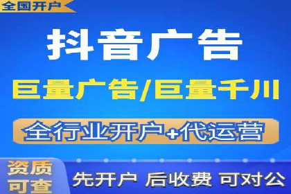 XX领域竞价广告的投放策略及效果展示